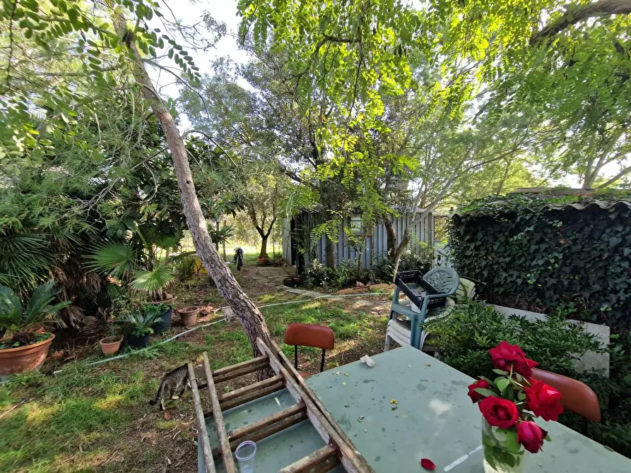 Immagine 2 di Casa colonica in vendita  a Rosignano Marittimo