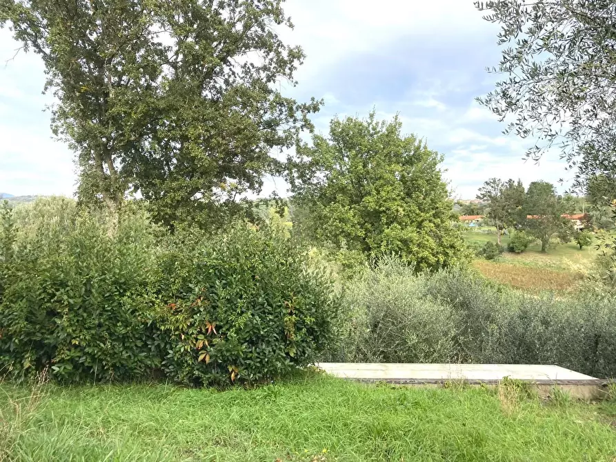 Immagine 10 di Rustico / casale in vendita  a Montecarlo