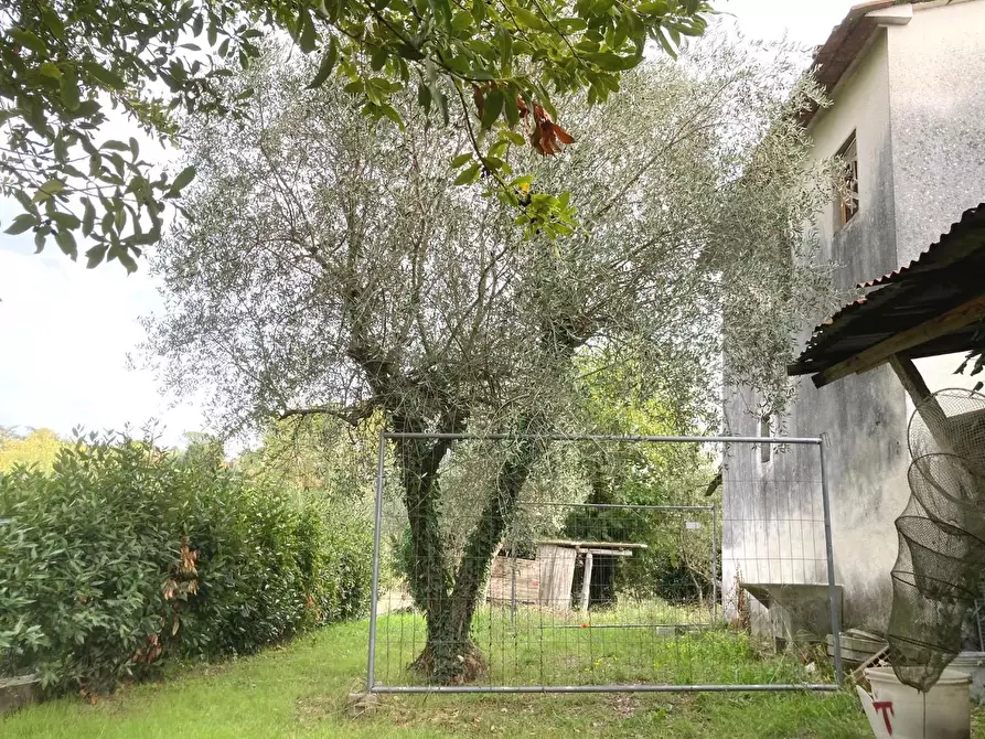 Immagine 9 di Rustico / casale in vendita  a Montecarlo