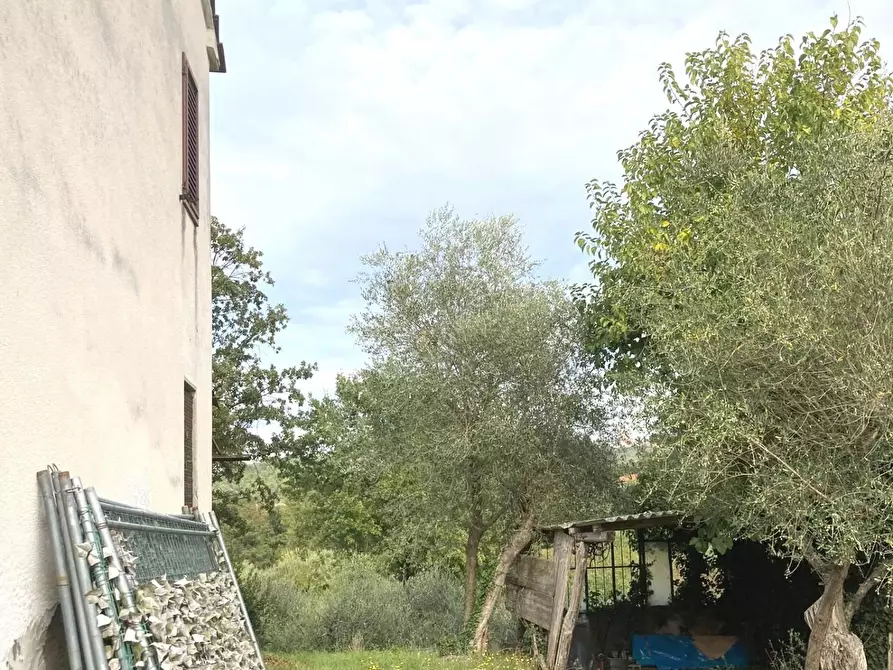 Immagine 11 di Rustico / casale in vendita  a Montecarlo