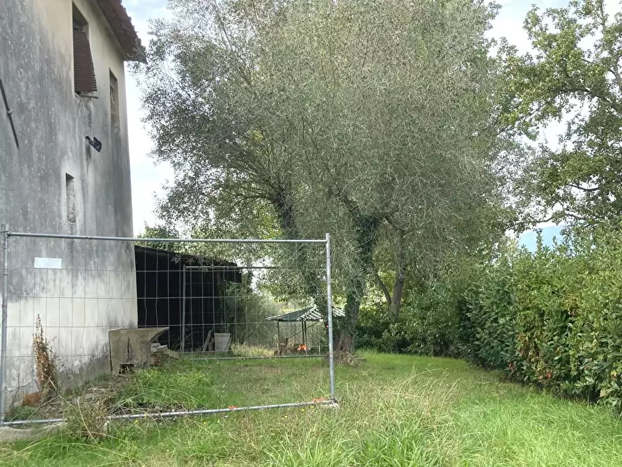 Immagine 6 di Rustico / casale in vendita  a Montecarlo