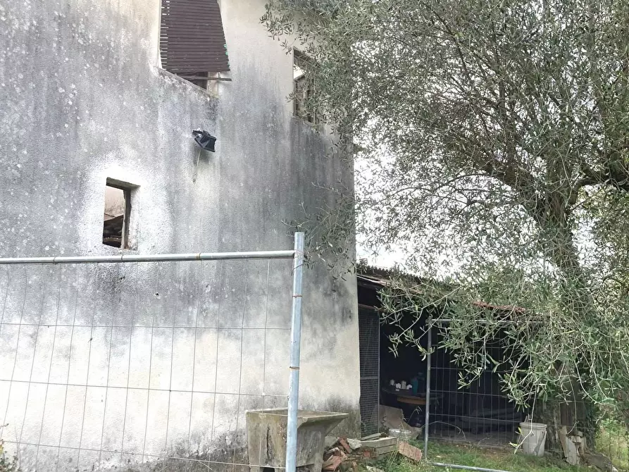 Immagine 7 di Rustico / casale in vendita  a Montecarlo