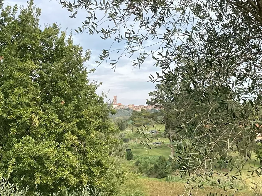 Immagine 12 di Rustico / casale in vendita  a Montecarlo