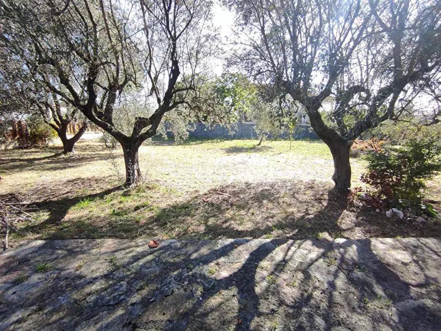 Immagine 20 di Villa in vendita  a Ortonovo