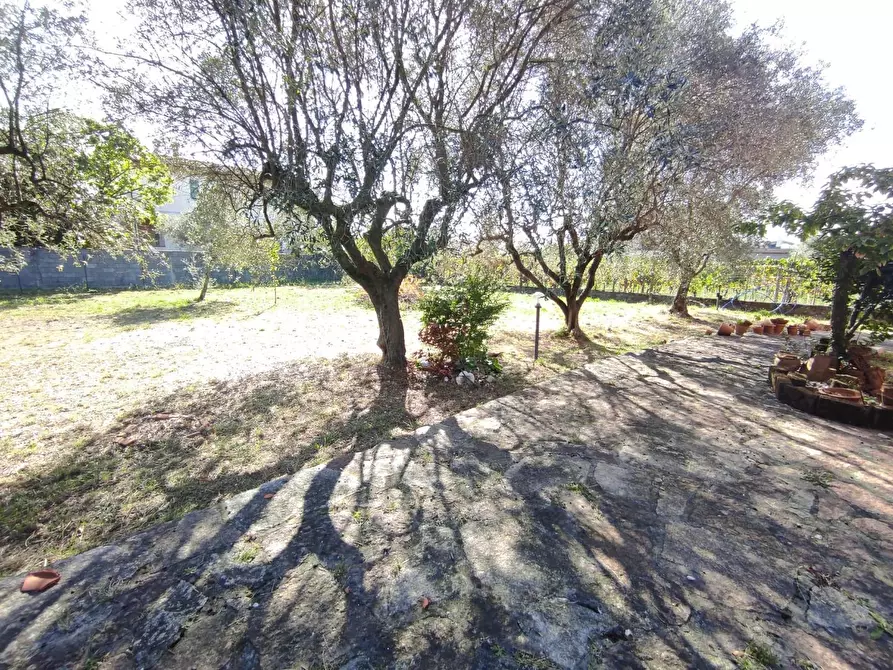 Immagine 3 di Villa in vendita  a Ortonovo