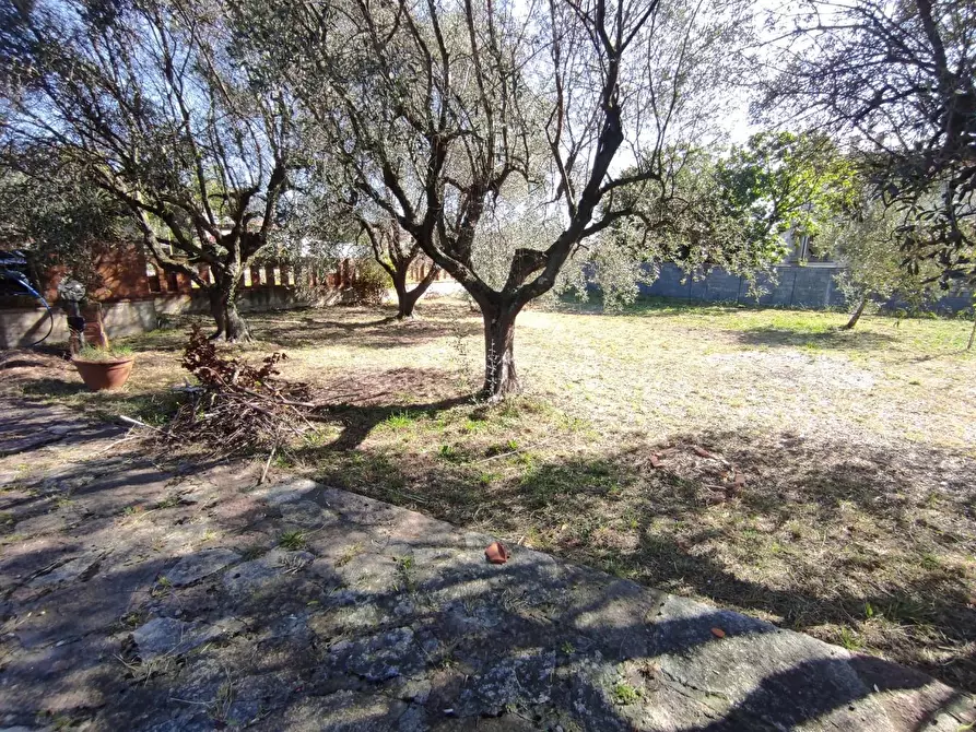 Immagine 2 di Villa in vendita  a Ortonovo