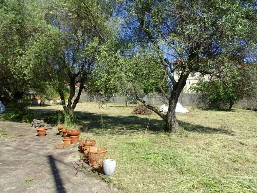 Immagine 24 di Villa in vendita  a Ortonovo