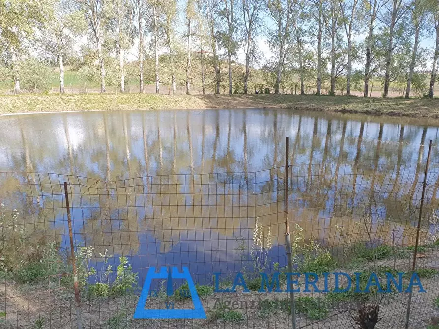Immagine 5 di Terreno agricolo in vendita  a Cerreto Guidi