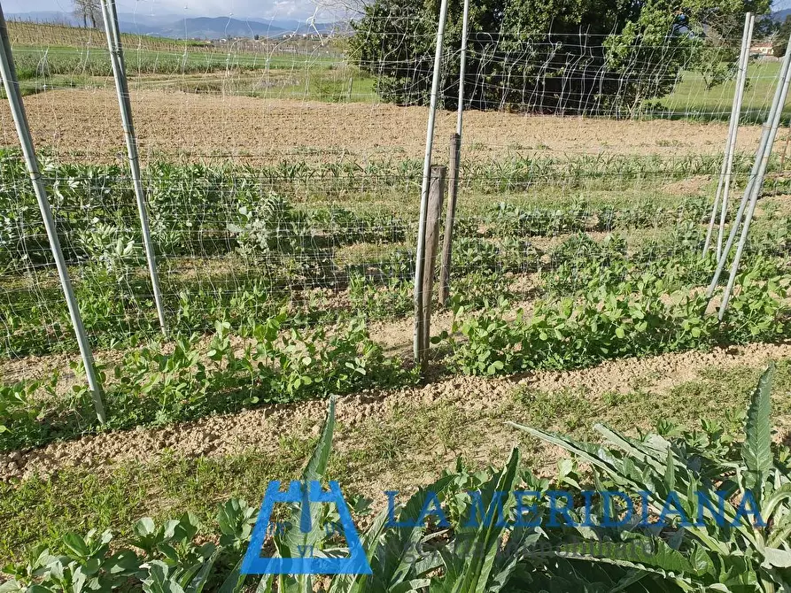 Immagine 9 di Terreno agricolo in vendita  a Cerreto Guidi