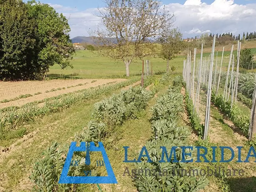 Immagine 6 di Terreno agricolo in vendita  a Cerreto Guidi