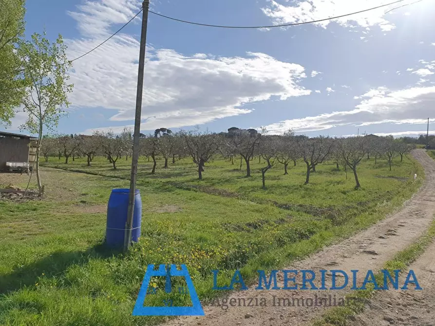 Immagine 10 di Terreno agricolo in vendita  a Cerreto Guidi
