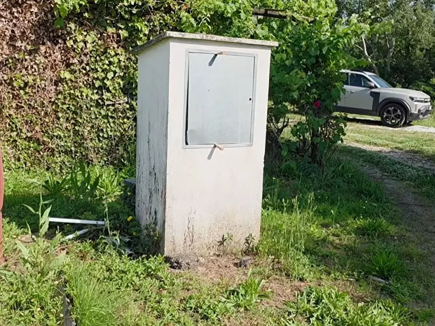 Immagine 12 di Terreno agricolo in vendita  a Casciana Terme Lari