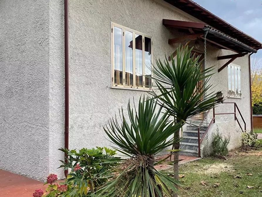 Immagine 1 di Casa indipendente in vendita  a Camaiore