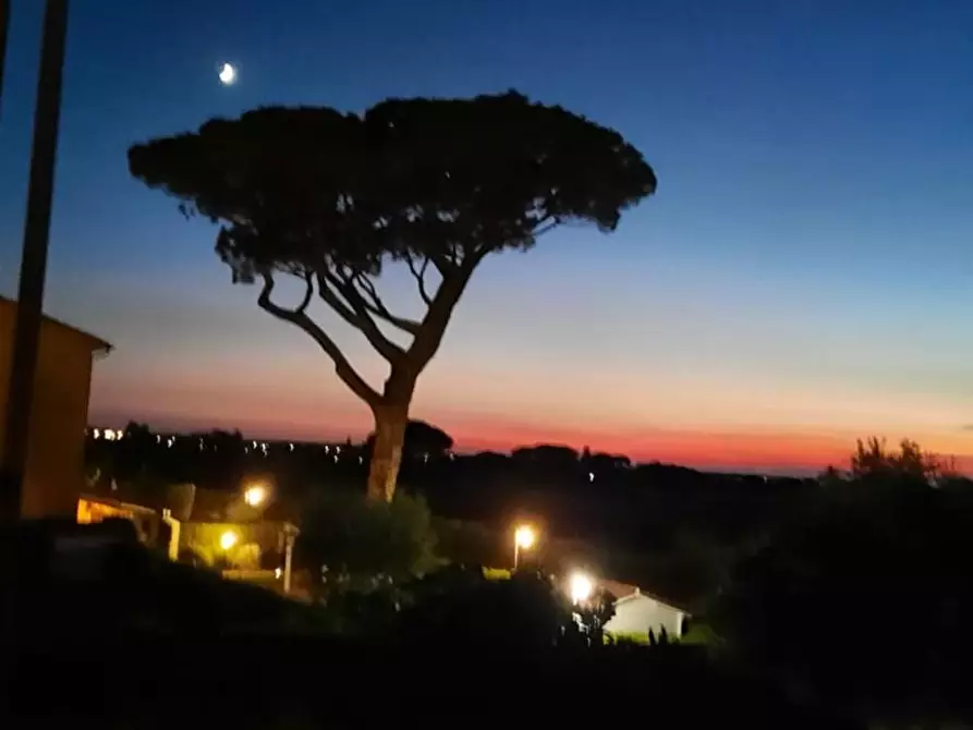 Immagine 9 di Appartamento in vendita  a Cecina