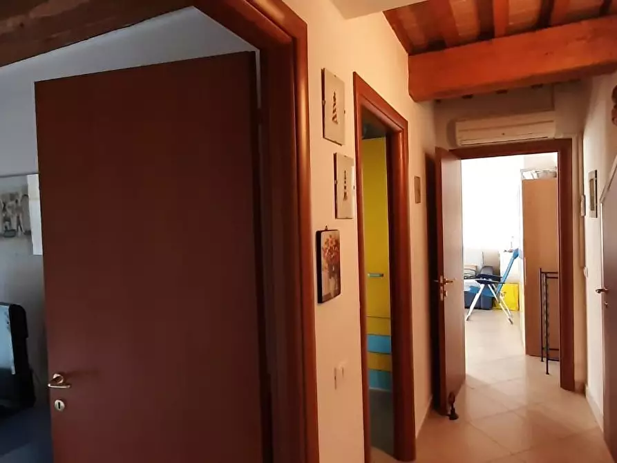 Immagine 13 di Appartamento in vendita  a Cecina