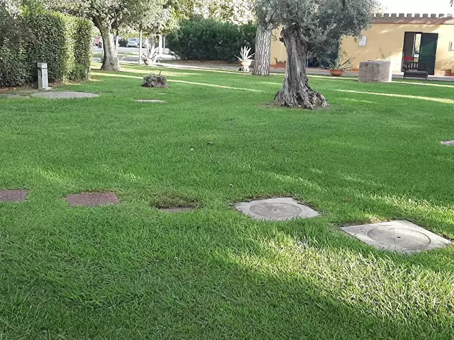 Immagine 26 di Appartamento in vendita  a Cecina