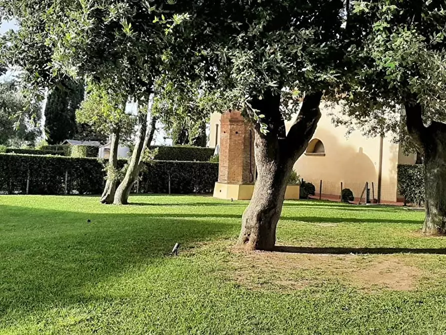 Immagine 27 di Appartamento in vendita  a Cecina