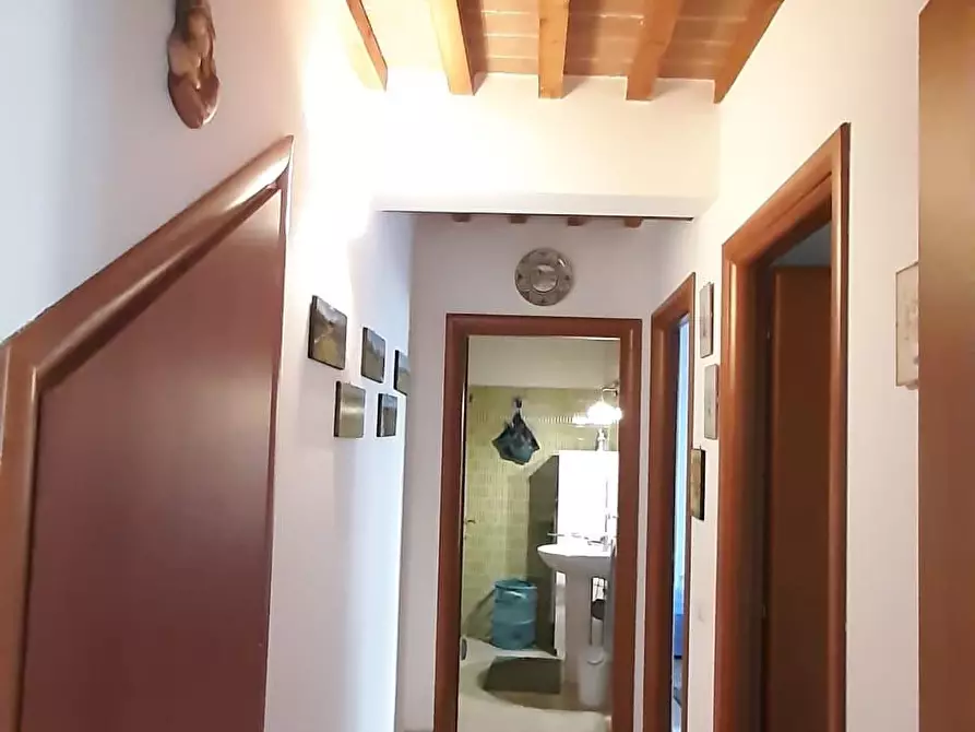 Immagine 10 di Appartamento in vendita  a Cecina