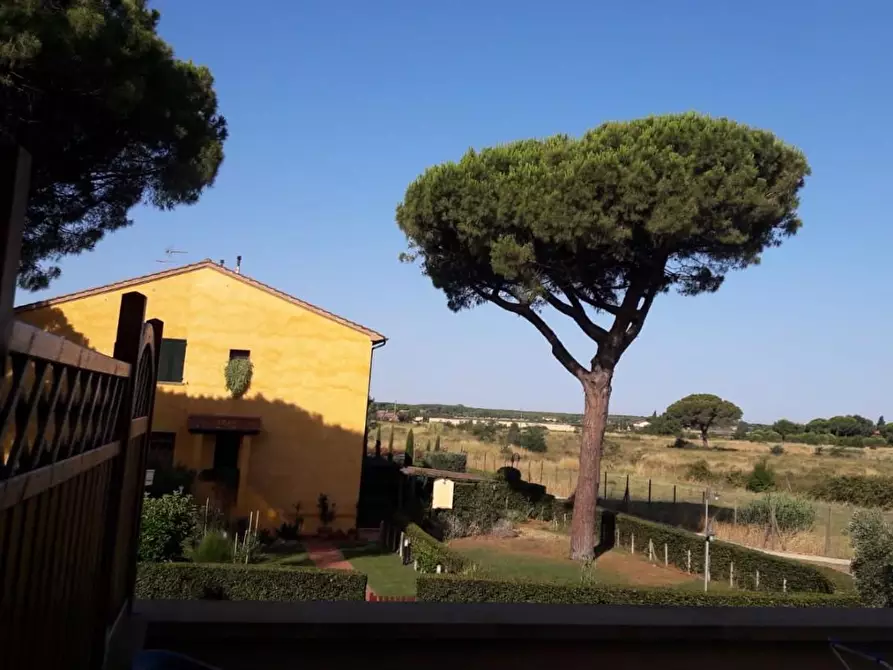 Immagine 28 di Appartamento in vendita  a Cecina