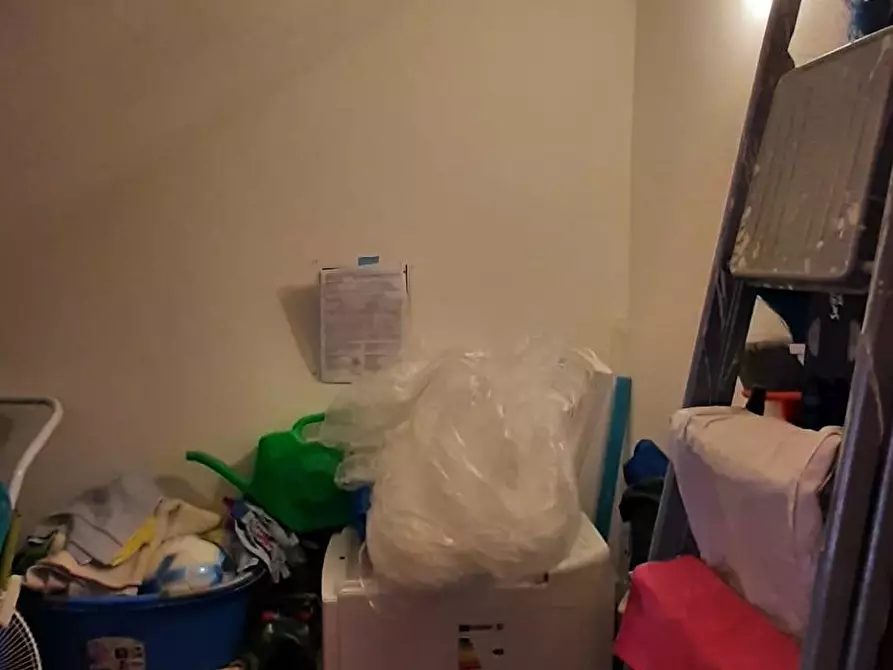 Immagine 23 di Appartamento in vendita  a Cecina