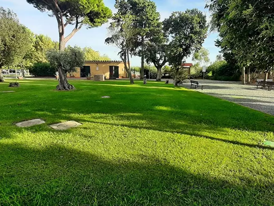 Immagine 2 di Appartamento in vendita  a Cecina