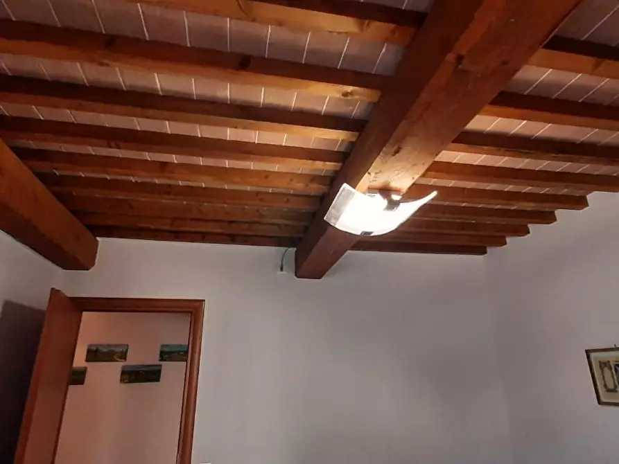 Immagine 18 di Appartamento in vendita  a Cecina