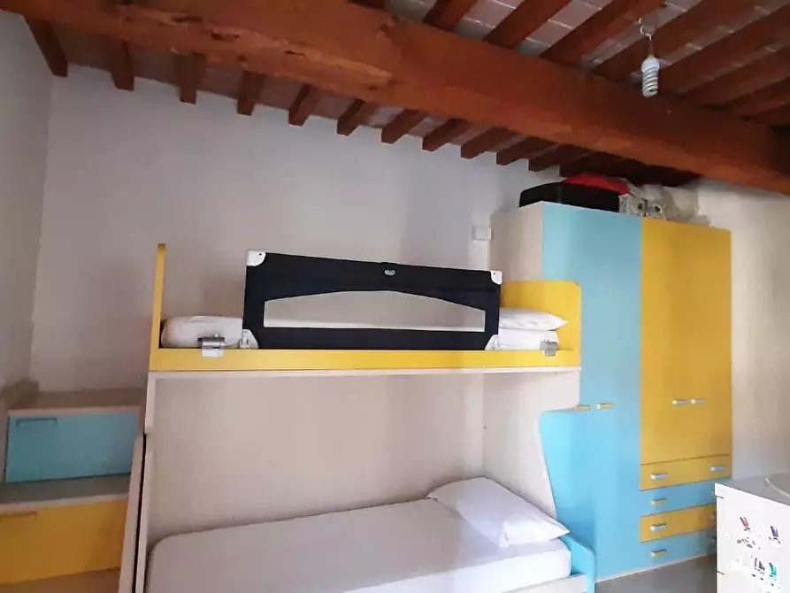 Immagine 14 di Appartamento in vendita  a Cecina