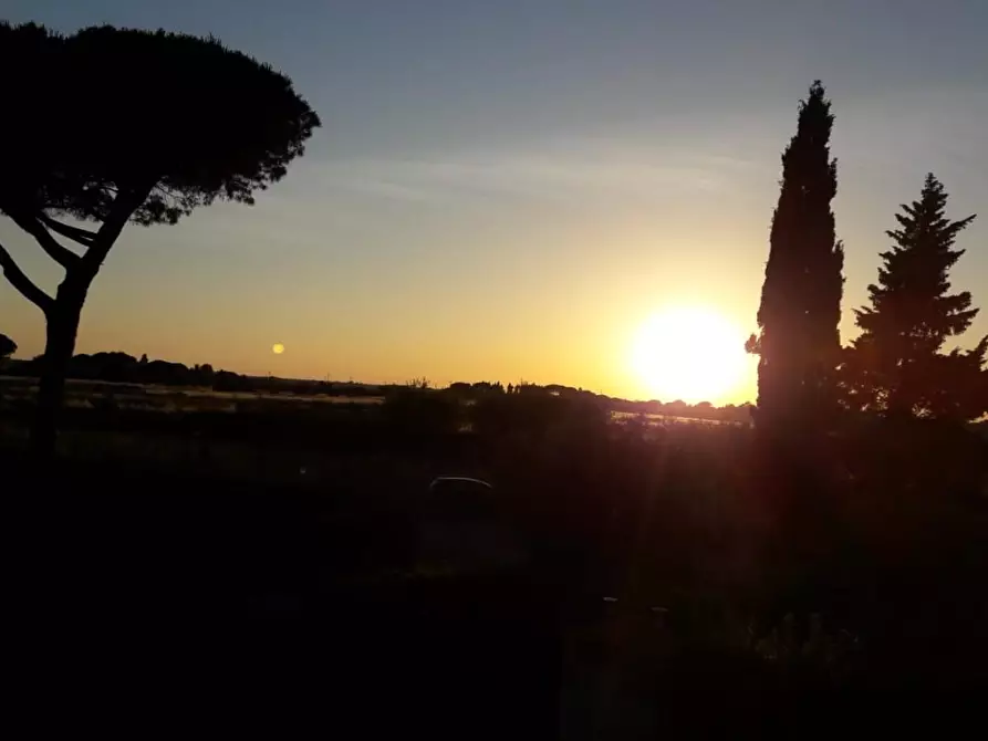 Immagine 7 di Appartamento in vendita  a Cecina