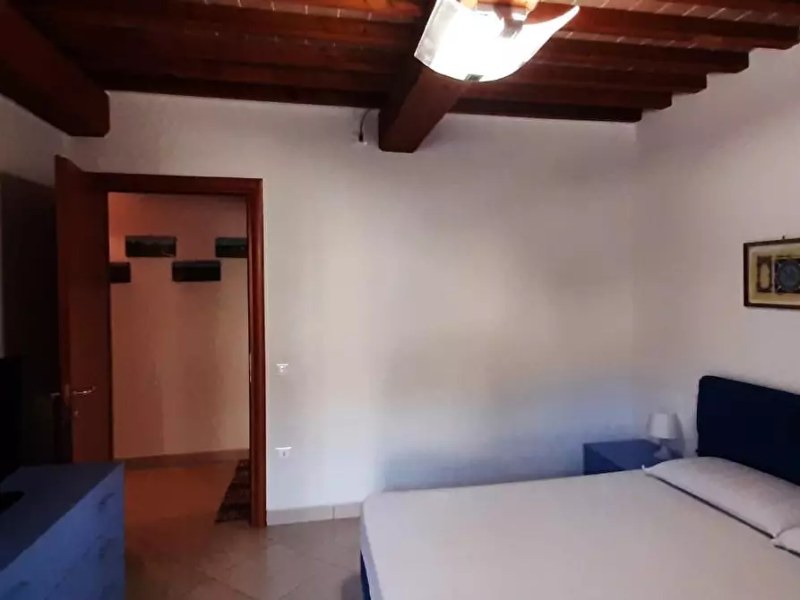 Immagine 12 di Appartamento in vendita  a Cecina