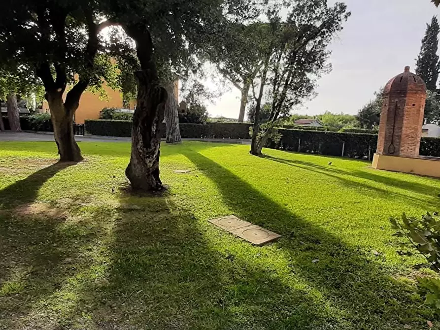 Immagine 25 di Appartamento in vendita  a Cecina