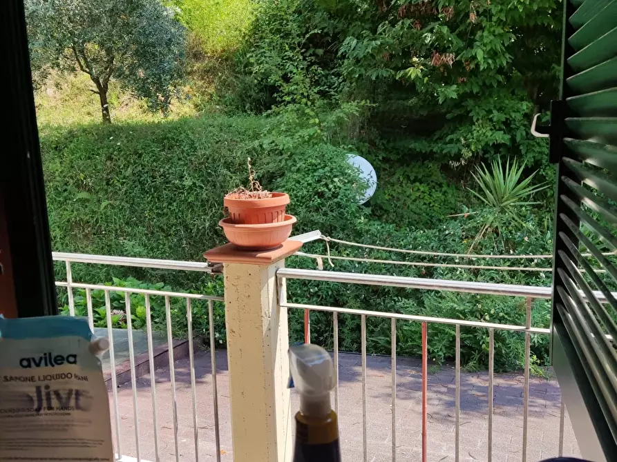 Immagine 19 di Appartamento in vendita  a Carrara