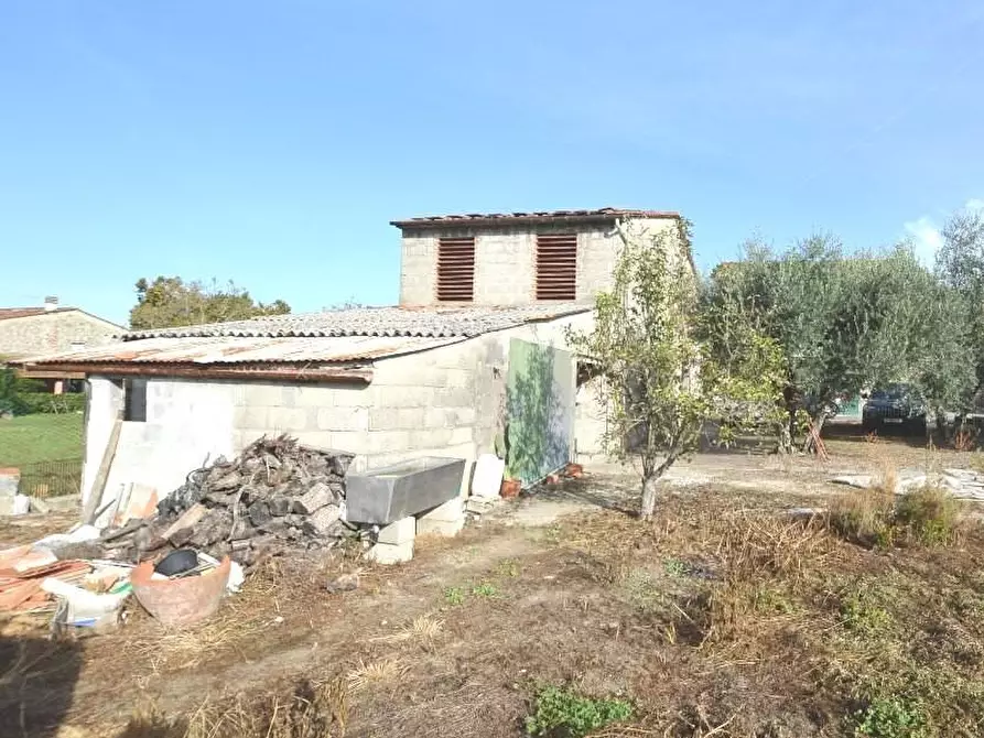 Immagine 7 di Deposito in vendita  a Capannori