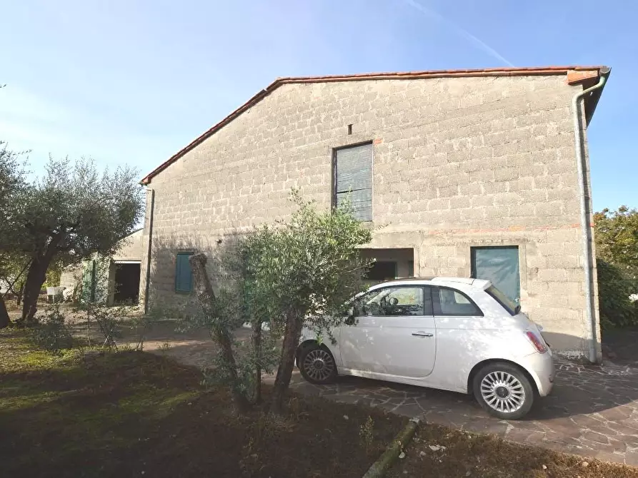 Immagine 3 di Deposito in vendita  a Capannori