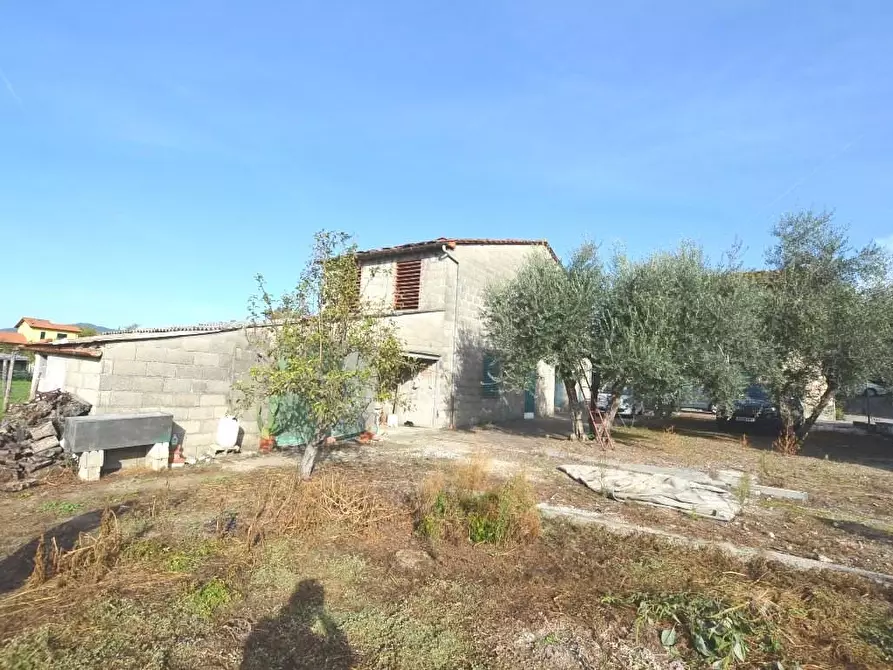 Immagine 4 di Deposito in vendita  a Capannori