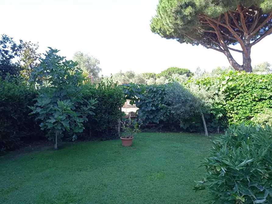 Immagine 4 di Casa trifamiliare in vendita  a Follonica