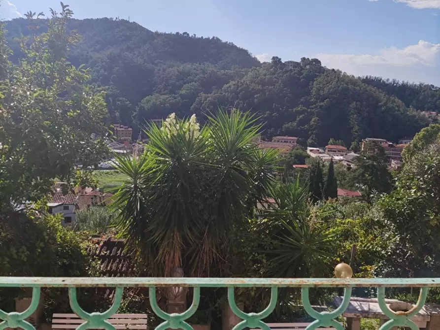 Immagine 14 di Villa in vendita  a Carrara