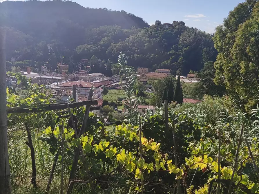 Immagine 2 di Villa in vendita  a Carrara