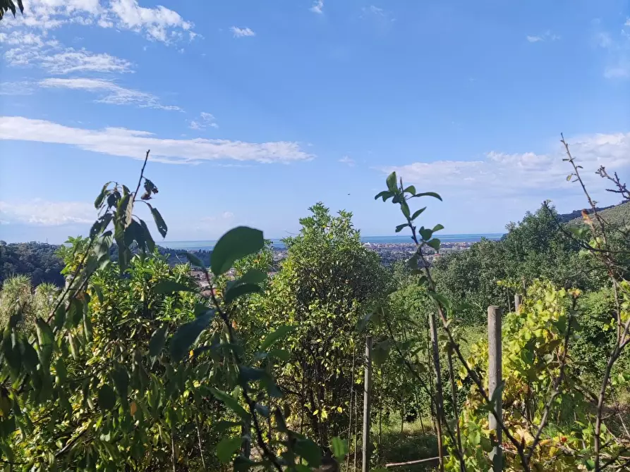 Immagine 22 di Villa in vendita  a Carrara