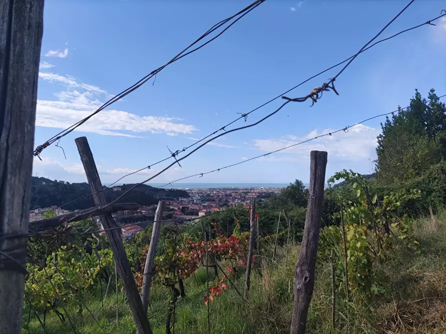 Immagine 32 di Villa in vendita  a Carrara