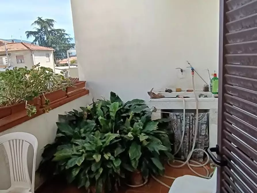 Immagine 7 di Terratetto in vendita  a San Giuliano Terme