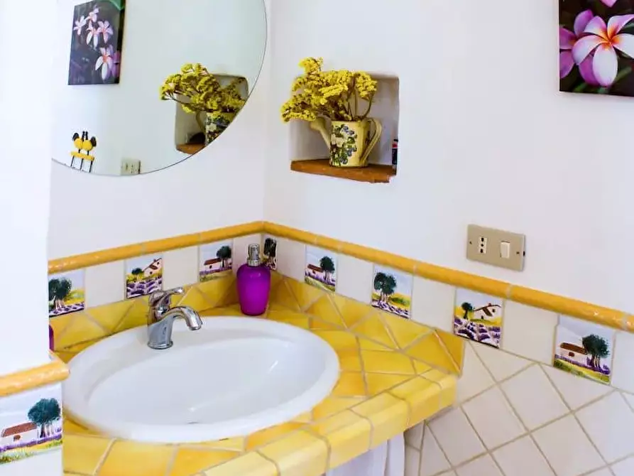 Immagine 8 di Casa bifamiliare in vendita  a Camaiore