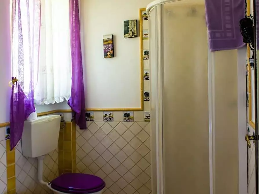 Immagine 7 di Casa bifamiliare in vendita  a Camaiore