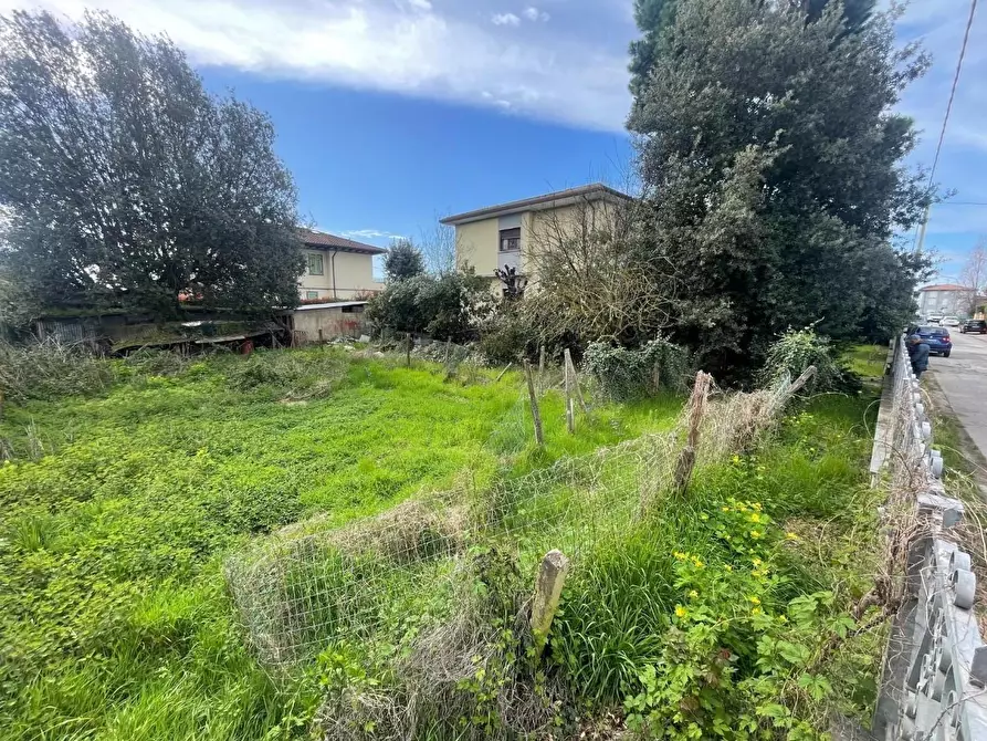 Immagine 9 di Casa bifamiliare in vendita  a Pietrasanta