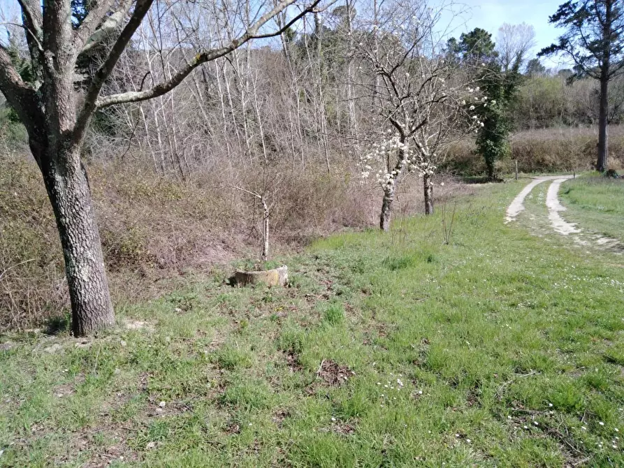 Immagine 6 di Casa indipendente in vendita  a Montopoli In Val D'arno