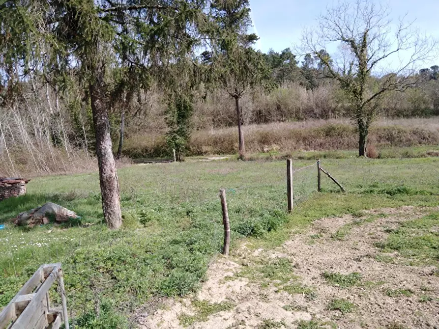 Immagine 13 di Casa indipendente in vendita  a Montopoli In Val D'arno