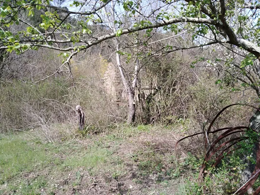 Immagine 12 di Casa indipendente in vendita  a Montopoli In Val D'arno