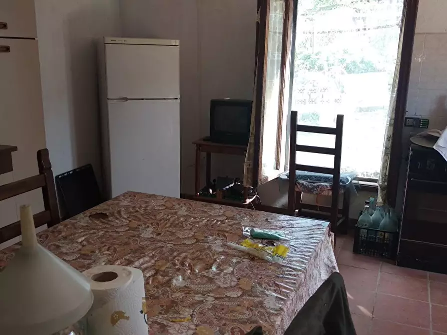 Immagine 7 di Terreno residenziale in vendita  a Civitella Paganico