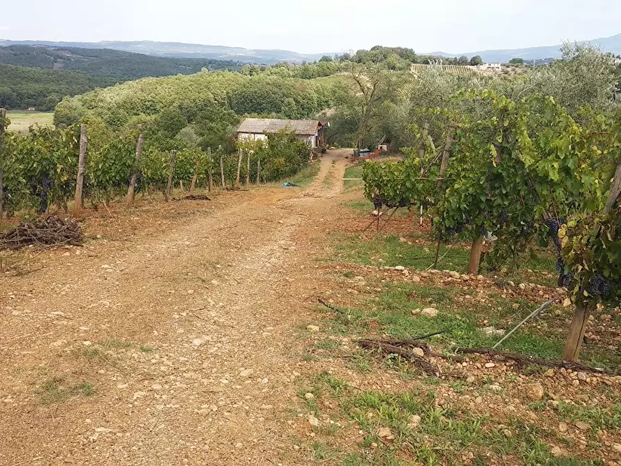 Immagine 2 di Terreno residenziale in vendita  a Civitella Paganico