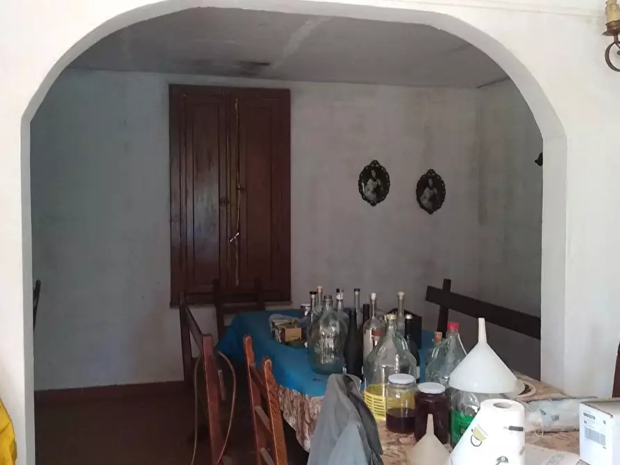 Immagine 5 di Terreno residenziale in vendita  a Civitella Paganico