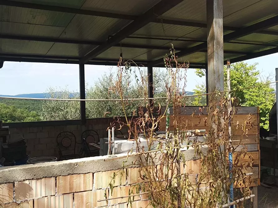 Immagine 9 di Terreno residenziale in vendita  a Civitella Paganico
